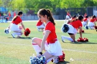 校园政坛-吃瓜网,揭秘吃瓜网上的校园政治大戏